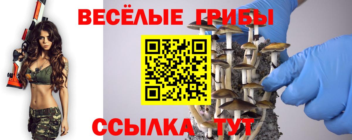 купить наркотики цена  Псилоцибиновые грибы Cubensis  Вход с VPN  Отрадный 